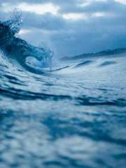 Meng Jinyu Gu Jingxi