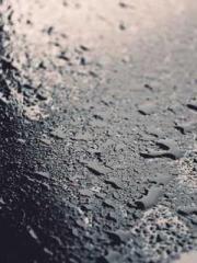 Bones-Eating Marriag