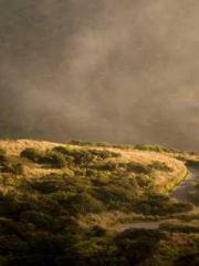 The Best Little Body