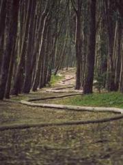 Wang Xuan Mu Qingyue